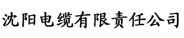 轨道电缆厂logo